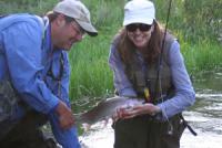 Beauty Rainbow on a New Mexico fly fishing guide trip while fly fishing near Red River and Taos