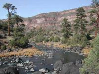 Fly fish the Rio Grande on a New Mexico fly fishing guide trip while fly fishing Taos or Red River