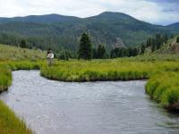 Fly fishing the Rio Costilla on a New Mexico fly fishing guide trip