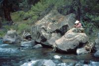 Fly fish the Red River on a New Mexico fly fishing guide trip