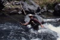 Fly fish the Red River on a New Mexico fly fishing guide trip