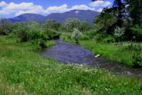 Beauty Rainbow on a New Mexico fly fishing guide trip while fly fishing near Red River and Taos