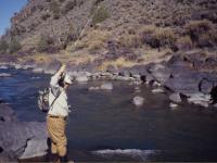 Fly fish the Rio Grande on a New Mexico fly fishing guide trip while fly fishing Taos or Red River